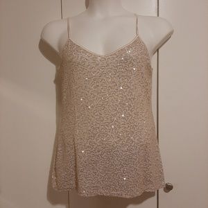 Express Sparkly Stretch Top